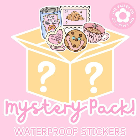 Mystery Sticker Pack || Stickers || Waterproof Stickers || Girly Stickers || Surprise Pack || Vinyl Stickers || Stamp Stickers || Cute ||